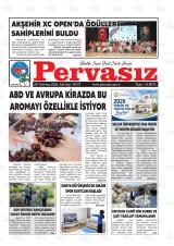 PERVASIZ