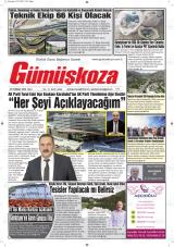 GÜMÜŞKOZA