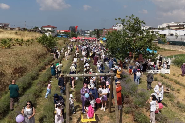 Çayırova’da Lavanta Hasadı Şenliği: Renklerin ve Anların Büyüsü!