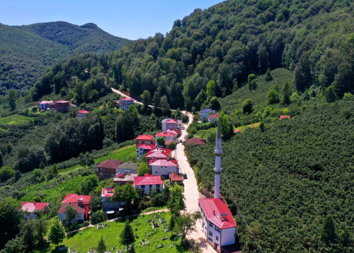 Ordu’da Ulaşım Atağı: Aybastı’ya Beton Yol