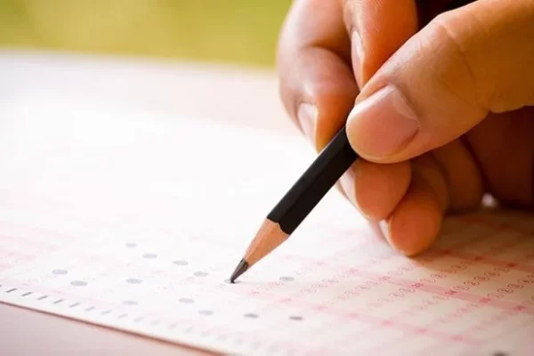 LGS Sınav Sonuçları Artık Erişime Açıldı: Öğrenciler Kontrol Edebilir