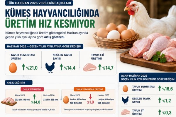 Kümes Hayvancılığında Haziran Ayında Üretim Hız Kesmiyor