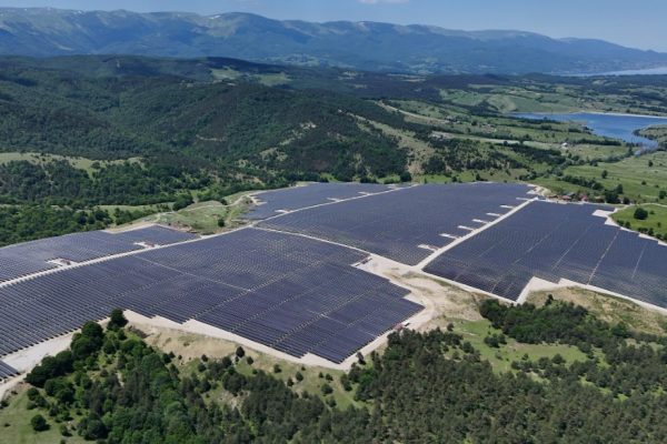 Samsun’da GES Sahasında Tarımsal Hasat Başladı