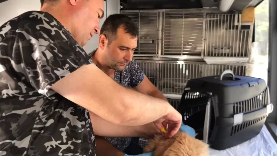 Balıkesir’de Can Dost Mobil Bakım Aracı 19 Ekim’de Savaştepe’de Hizmete Başlıyor